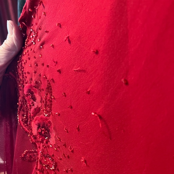 Wrapped in Red Embroidered Gown - Picture 8 of 10